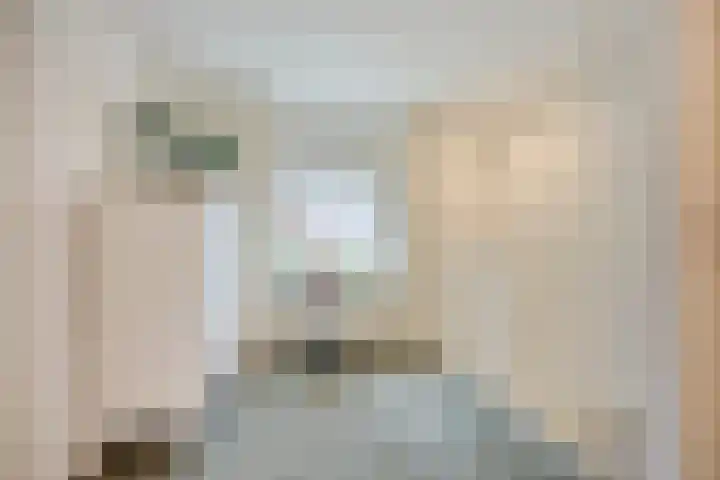 Kamperfoeliestraat 8 St. Willebrord thumbnail 24
