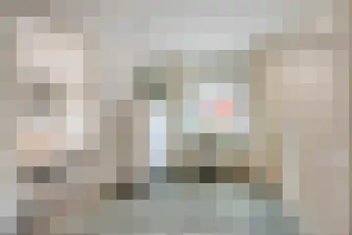 Kamperfoeliestraat 8 St. Willebrord thumbnail 25