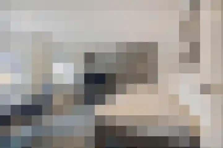Kamperfoeliestraat 8 St. Willebrord thumbnail 27