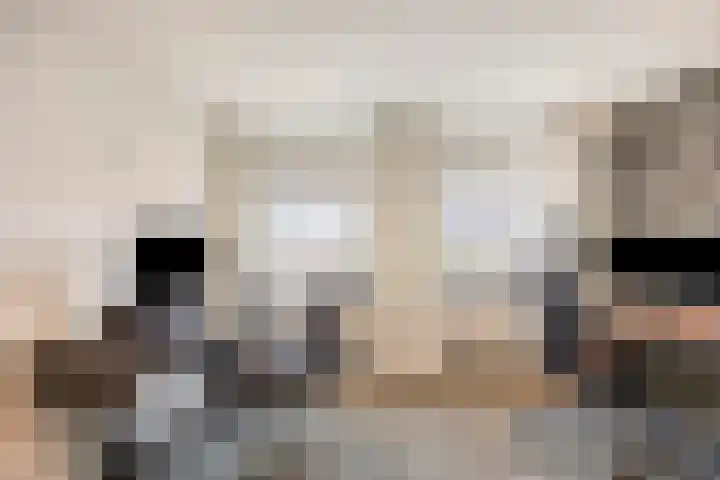Kamperfoeliestraat 8 St. Willebrord thumbnail 29