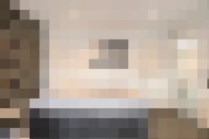 Kamperfoeliestraat 8 St. Willebrord thumbnail 30
