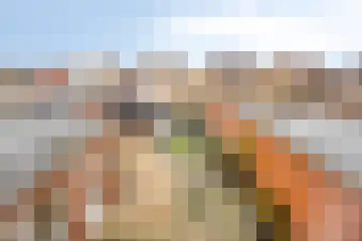 Kamperfoeliestraat 8 St. Willebrord thumbnail 32
