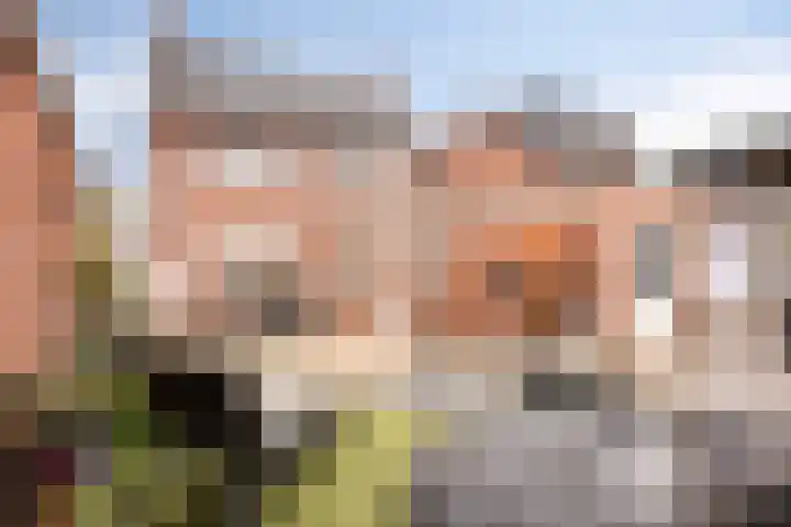 Kamperfoeliestraat 8 St. Willebrord thumbnail 33