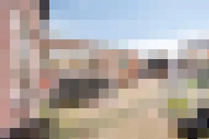 Kamperfoeliestraat 8 St. Willebrord thumbnail 35