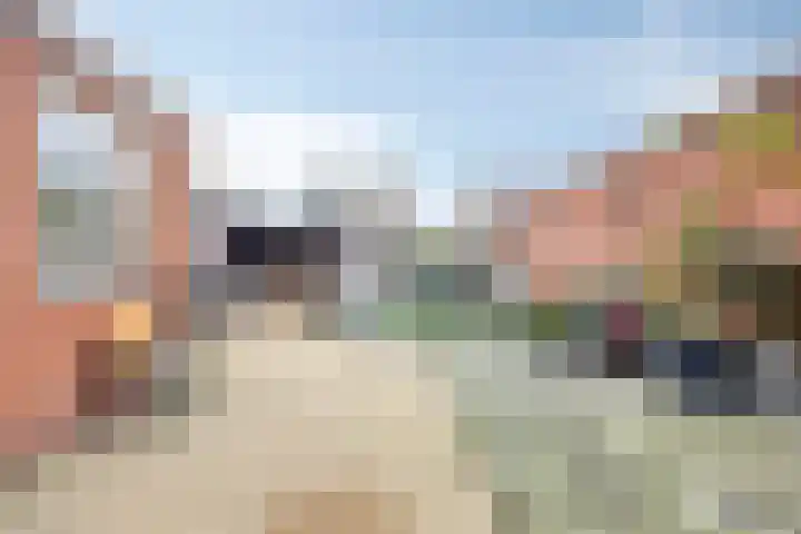 Kamperfoeliestraat 8 St. Willebrord thumbnail 36