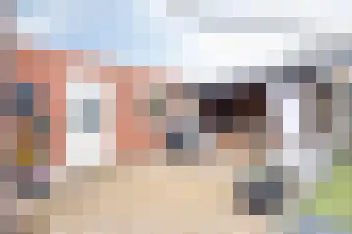 Kamperfoeliestraat 8 St. Willebrord thumbnail 37