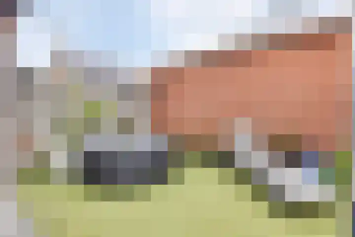 Kamperfoeliestraat 8 St. Willebrord thumbnail 39