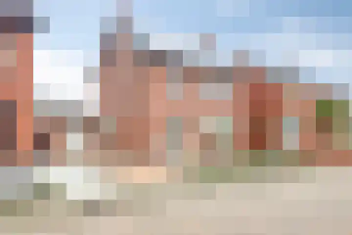 Kamperfoeliestraat 8 St. Willebrord thumbnail 41
