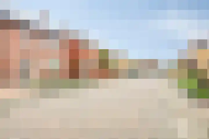 Kamperfoeliestraat 8 St. Willebrord thumbnail 42