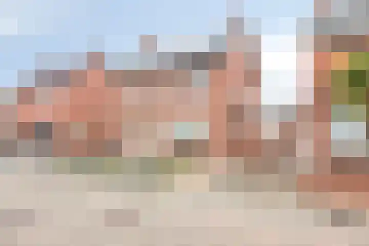 Kamperfoeliestraat 8 St. Willebrord thumbnail 43