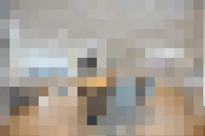 Kamperfoeliestraat 8 St. Willebrord thumbnail 5