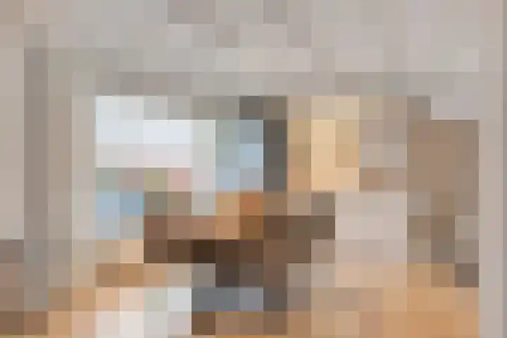 Kamperfoeliestraat 8 St. Willebrord thumbnail 6