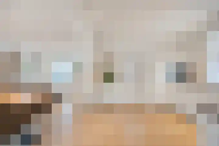 Kamperfoeliestraat 8 St. Willebrord thumbnail 8
