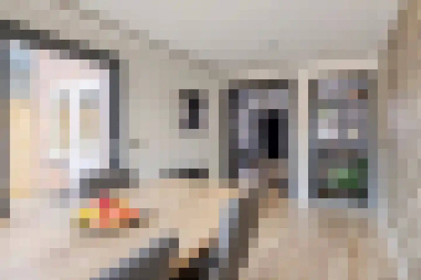 Kamperfoeliestraat 87 Goes thumbnail 11