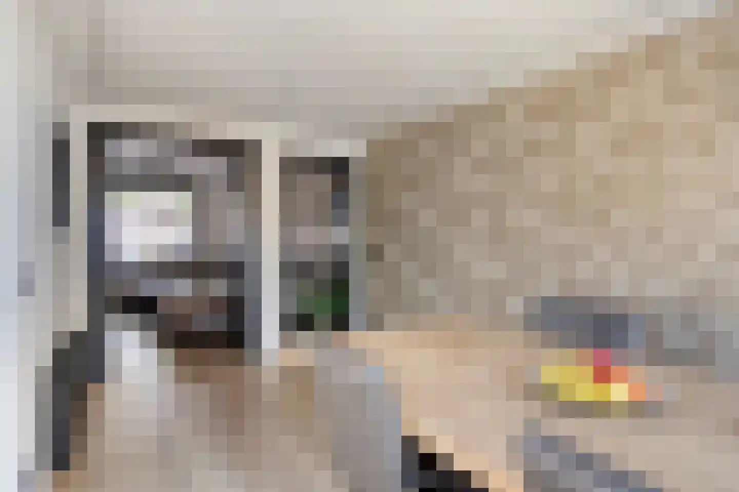 Kamperfoeliestraat 87 Goes thumbnail 12