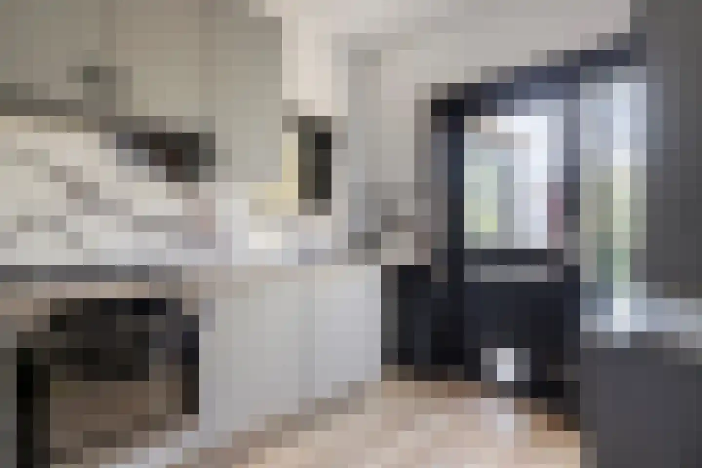 Kamperfoeliestraat 87 Goes thumbnail 14