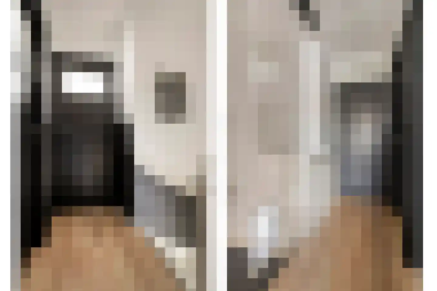 Kamperfoeliestraat 87 Goes thumbnail 17