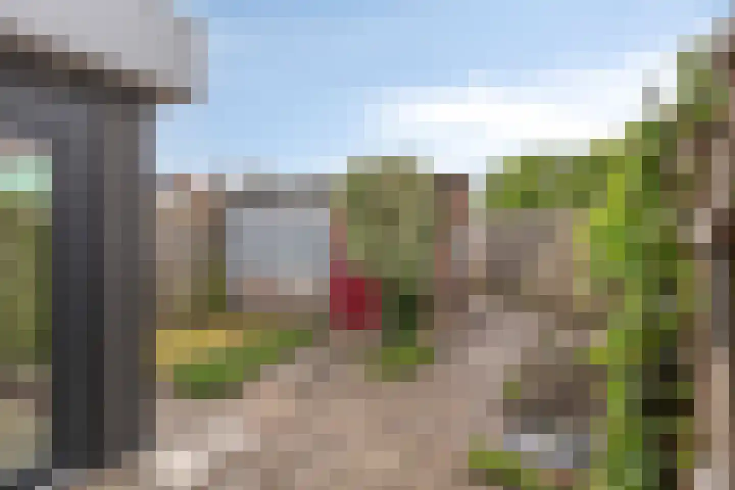 Kamperfoeliestraat 87 Goes thumbnail 23