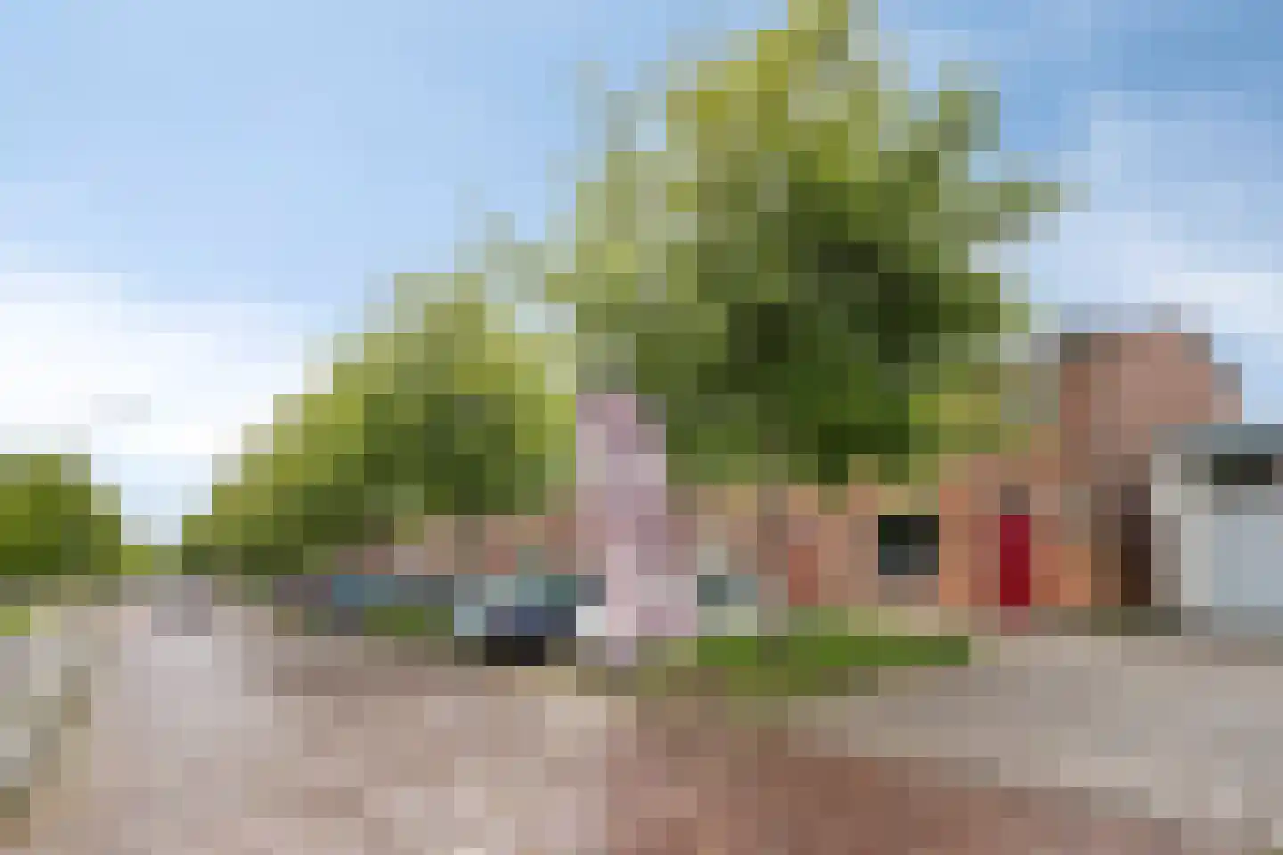 Kamperfoeliestraat 87 Goes thumbnail 26