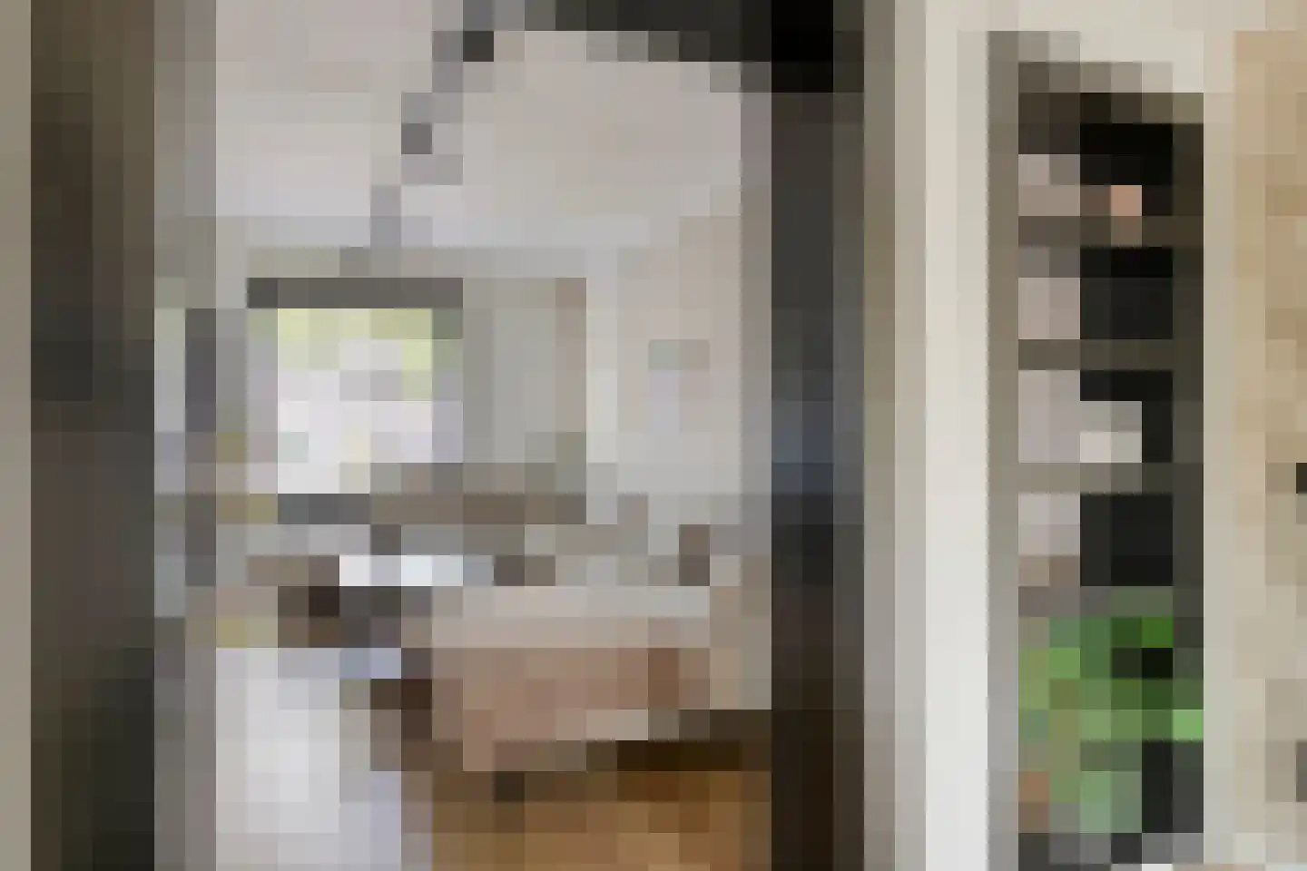 Kamperfoeliestraat 87 Goes thumbnail 8