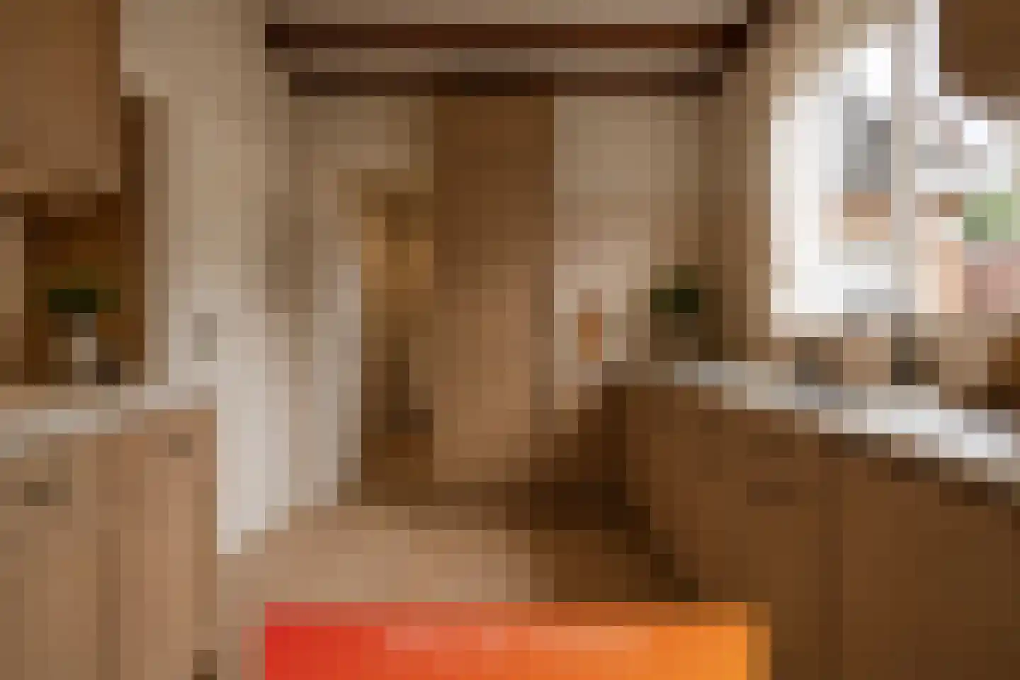 Kamperfoeliestraat 9 IJhorst thumbnail 12
