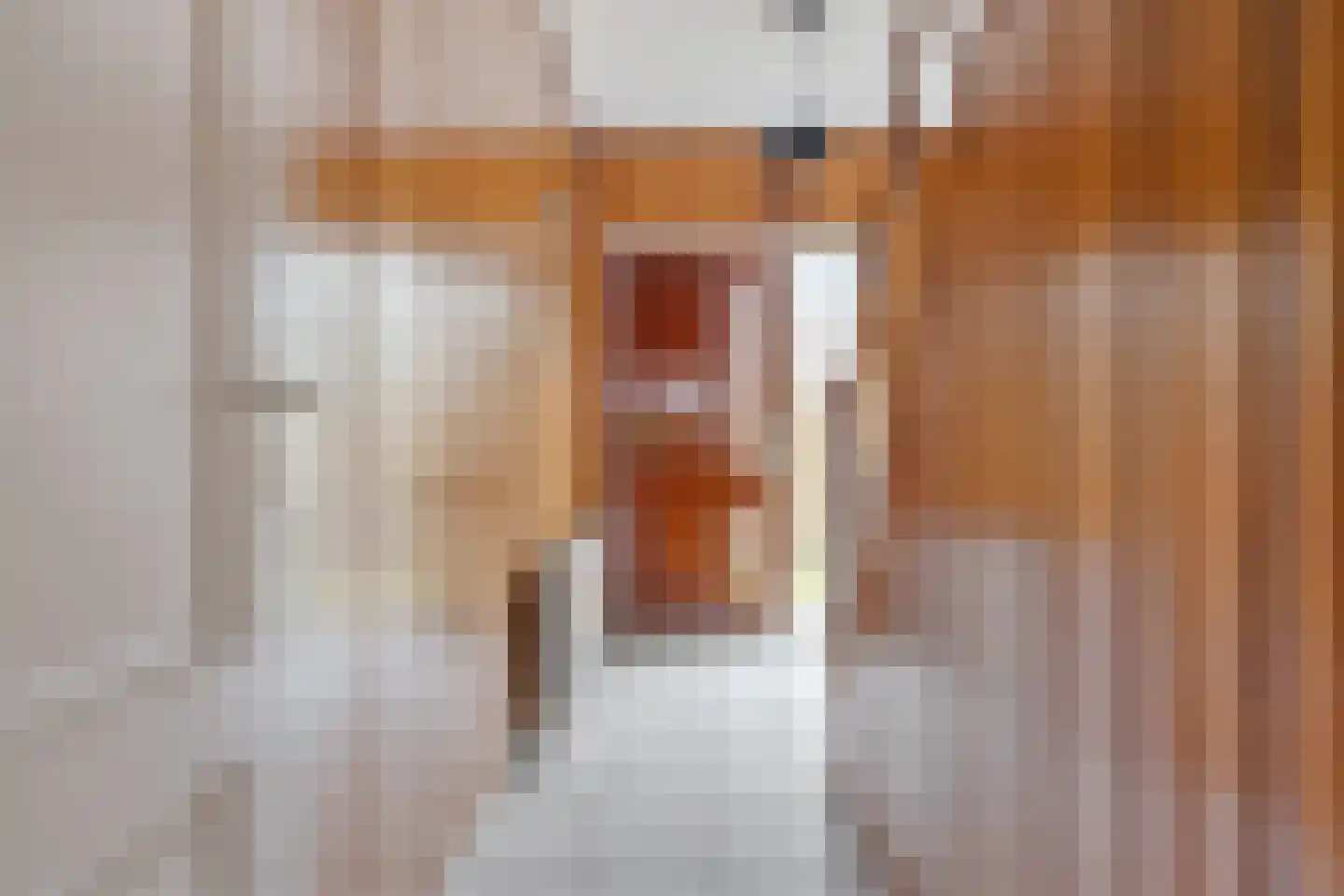 Kamperfoeliestraat 9 IJhorst thumbnail 21