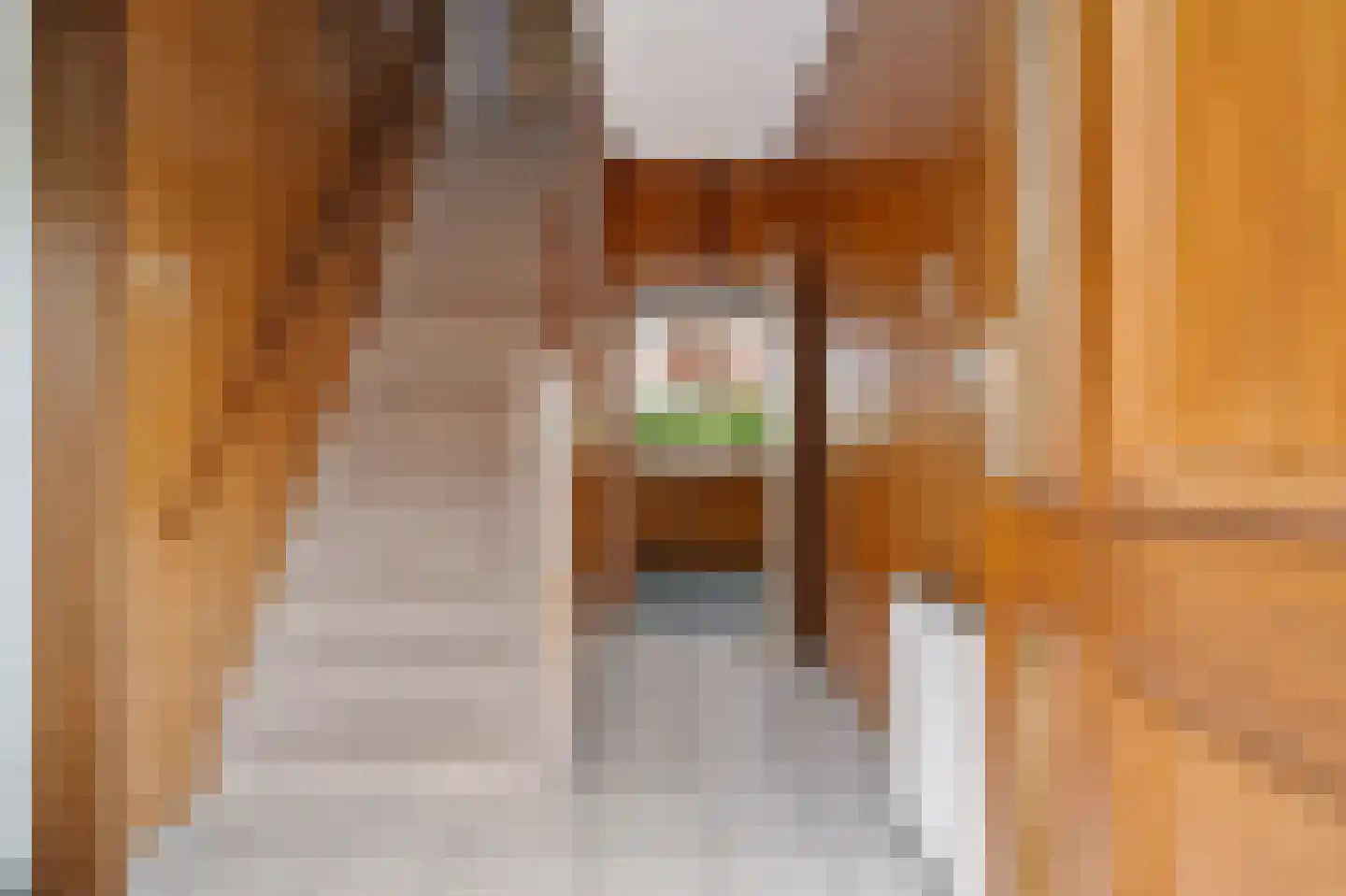 Kamperfoeliestraat 9 IJhorst thumbnail 22