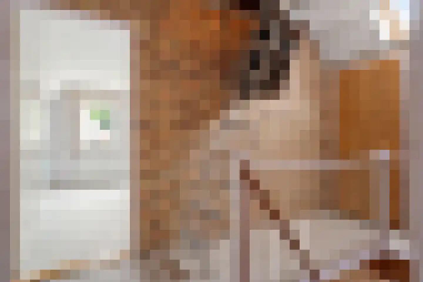 Kamperfoeliestraat 9 IJhorst thumbnail 35