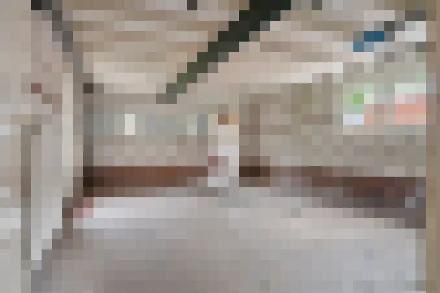 Kamperfoeliestraat 9 IJhorst thumbnail 37