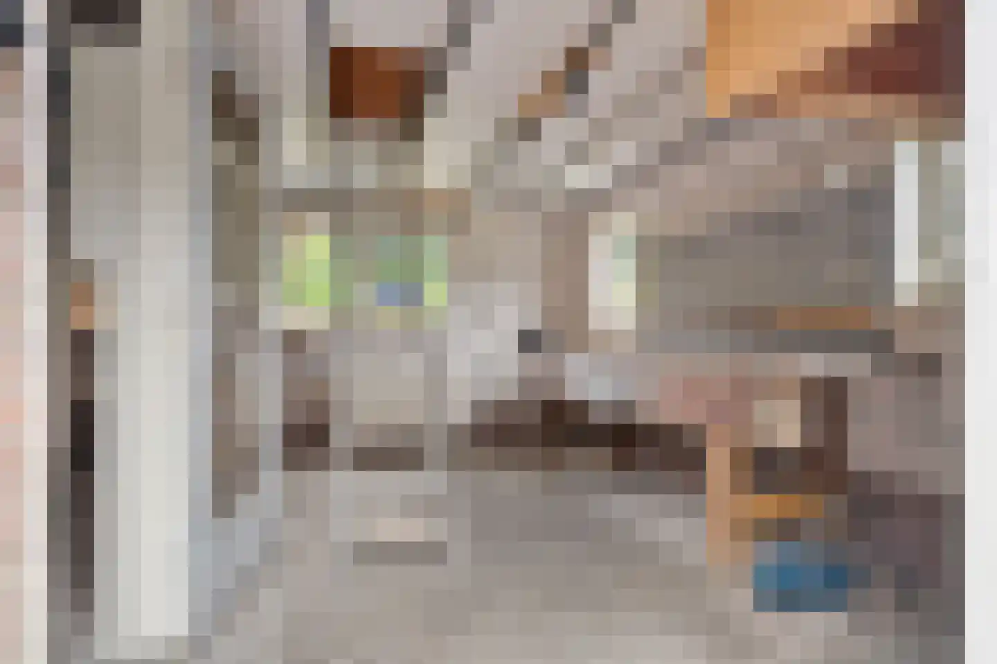 Kamperfoeliestraat 9 IJhorst thumbnail 39