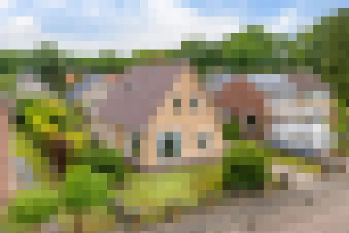 Kamperfoeliestraat 9 IJhorst thumbnail 4