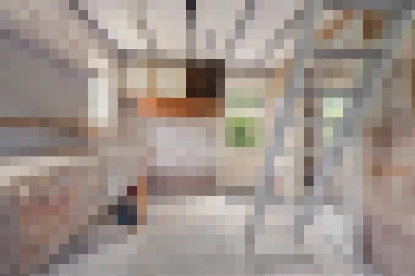 Kamperfoeliestraat 9 IJhorst thumbnail 40