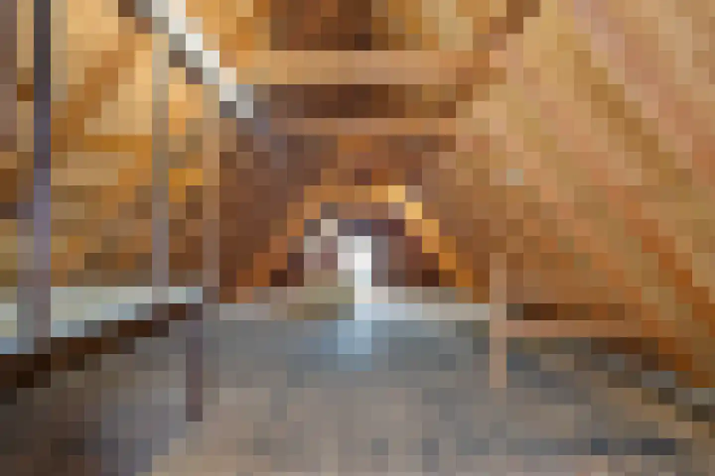 Kamperfoeliestraat 9 IJhorst thumbnail 42