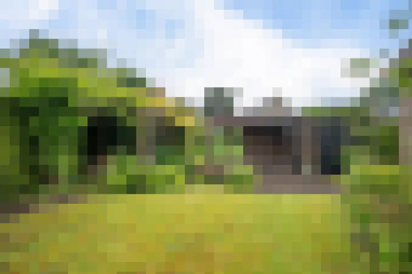 Kamperfoeliestraat 9 IJhorst thumbnail 43