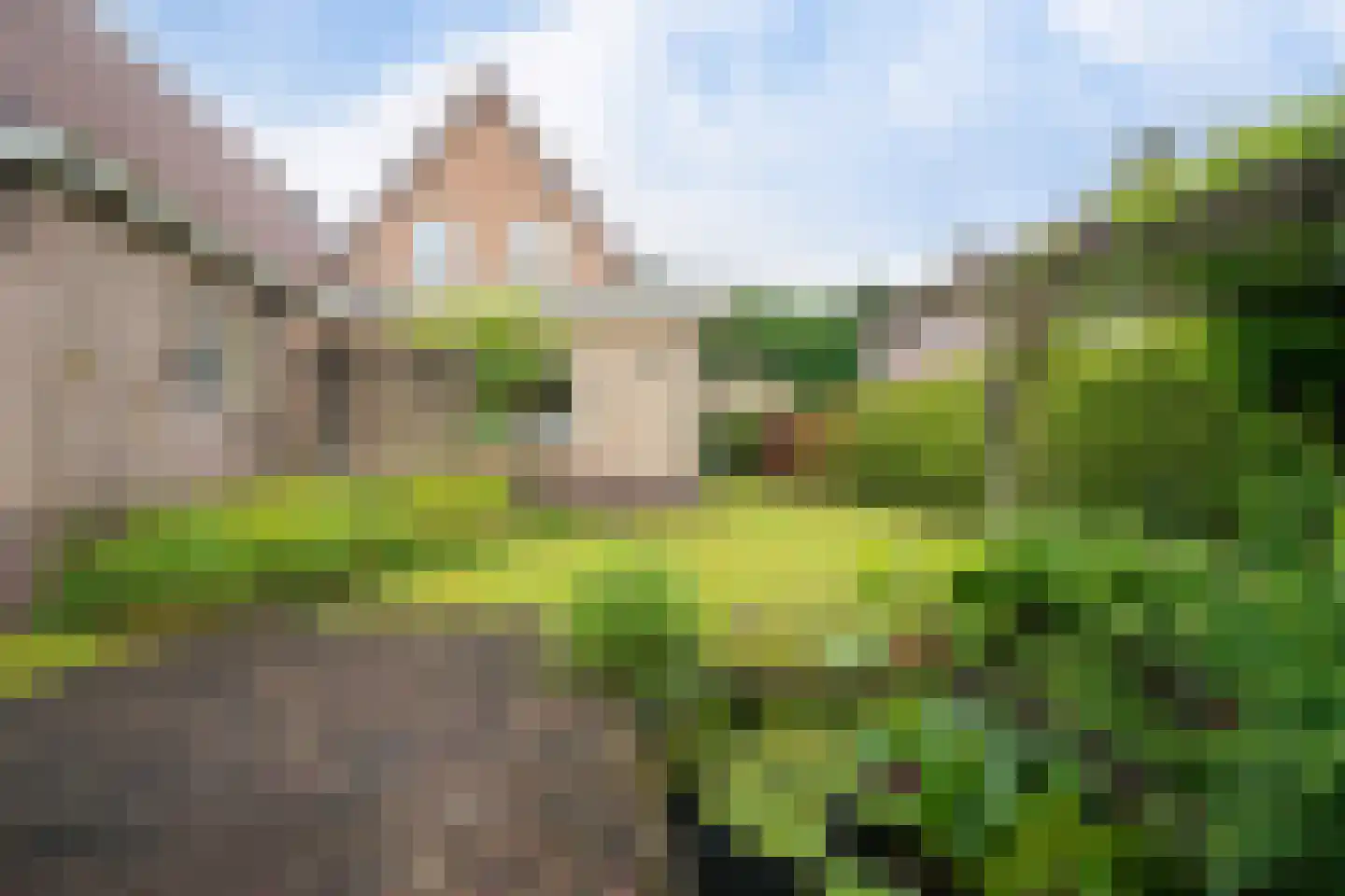 Kamperfoeliestraat 9 IJhorst thumbnail 44