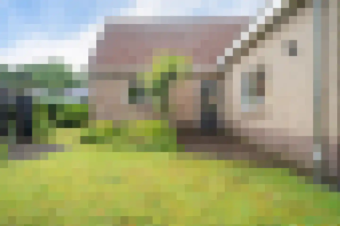 Kamperfoeliestraat 9 IJhorst thumbnail 45