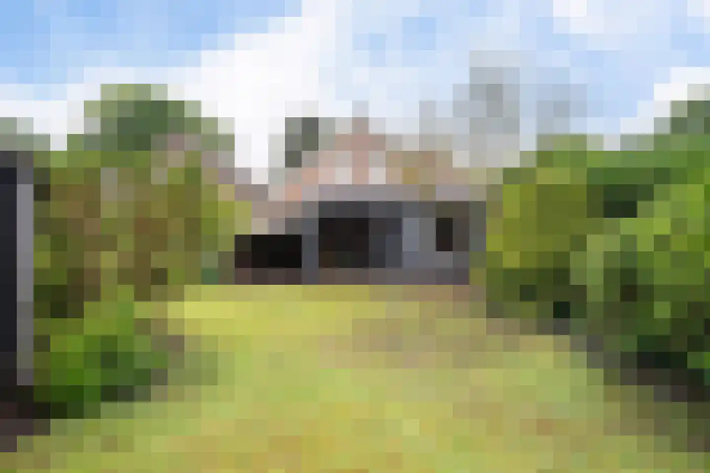 Kamperfoeliestraat 9 IJhorst thumbnail 48