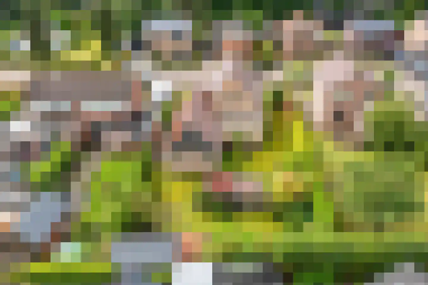 Kamperfoeliestraat 9 IJhorst thumbnail 54