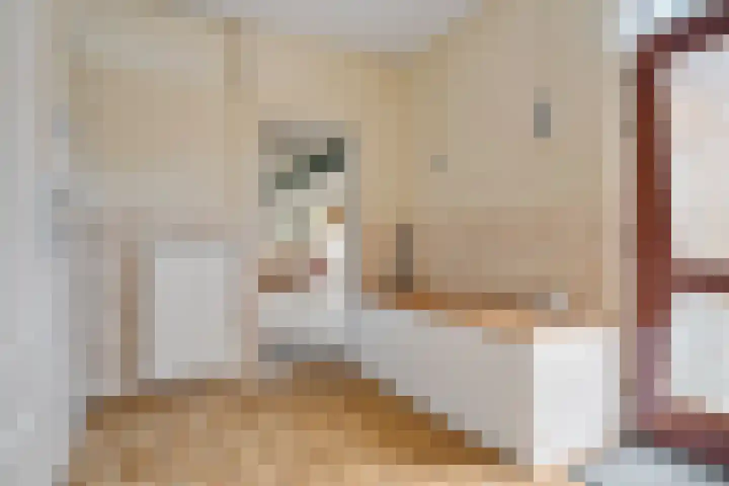 Kamperfoeliestraat 9 IJhorst thumbnail 8