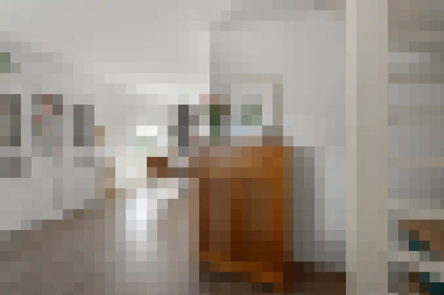Kamperfoeliestraat 9 Landsmeer thumbnail 14