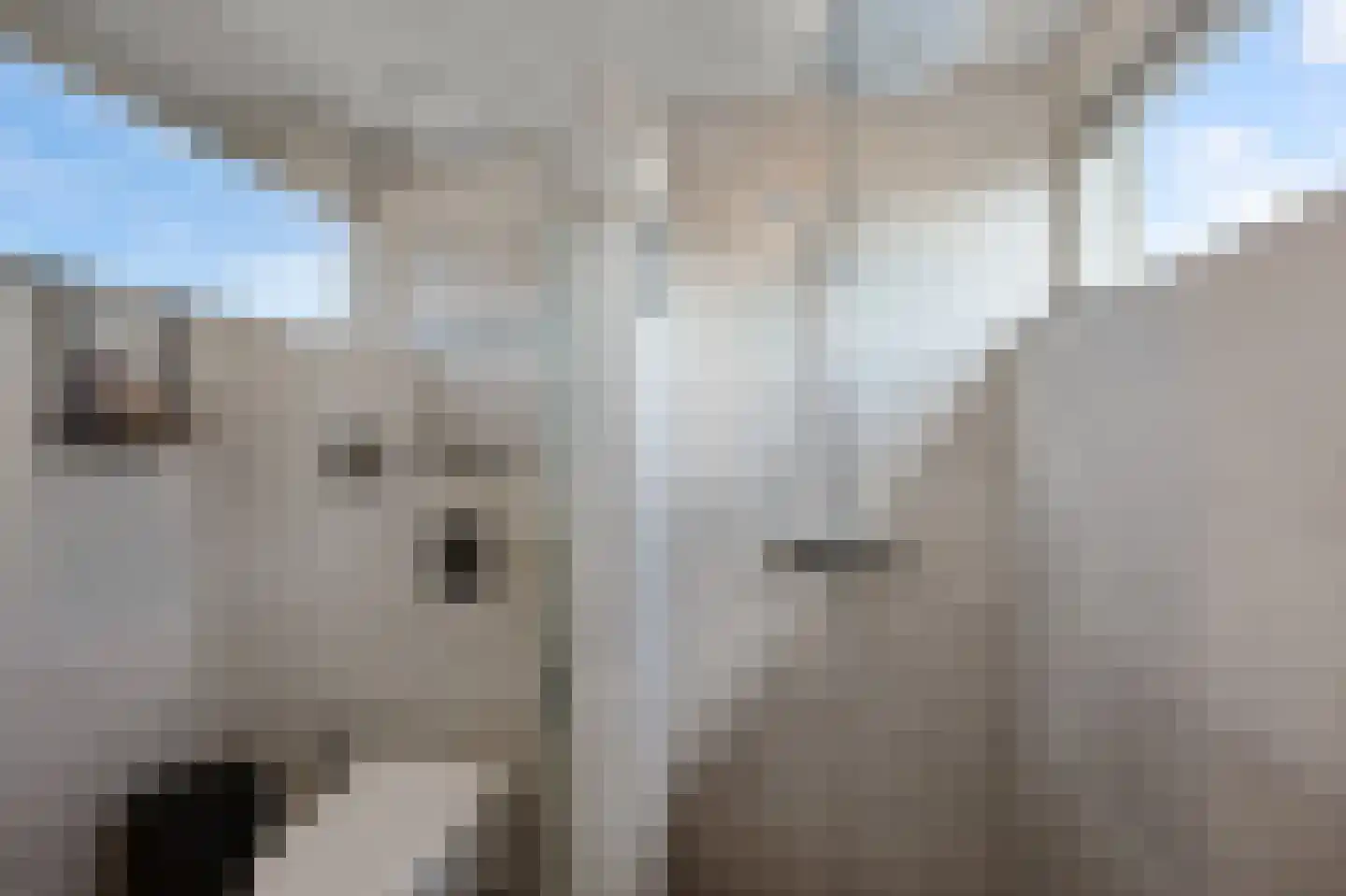 Kamperfoeliestraat 9 Landsmeer thumbnail 32