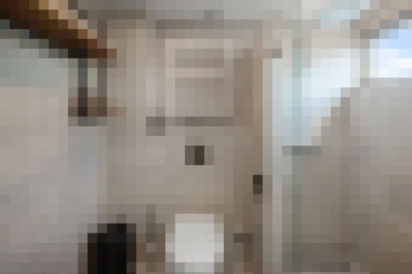 Kamperfoeliestraat 9 Landsmeer thumbnail 34