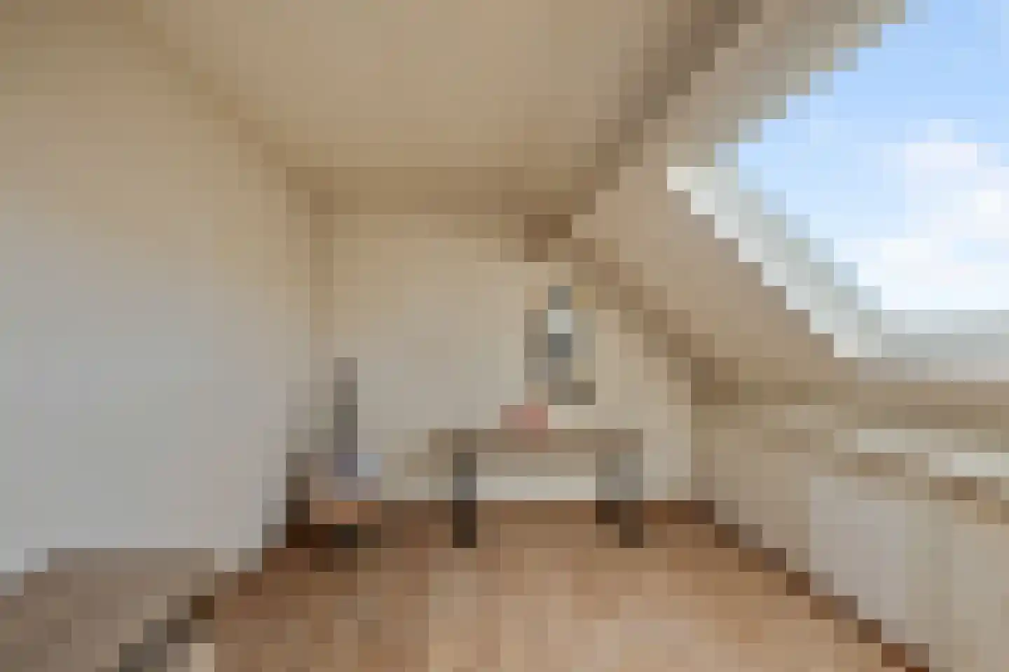 Kamperfoeliestraat 9 Landsmeer thumbnail 44