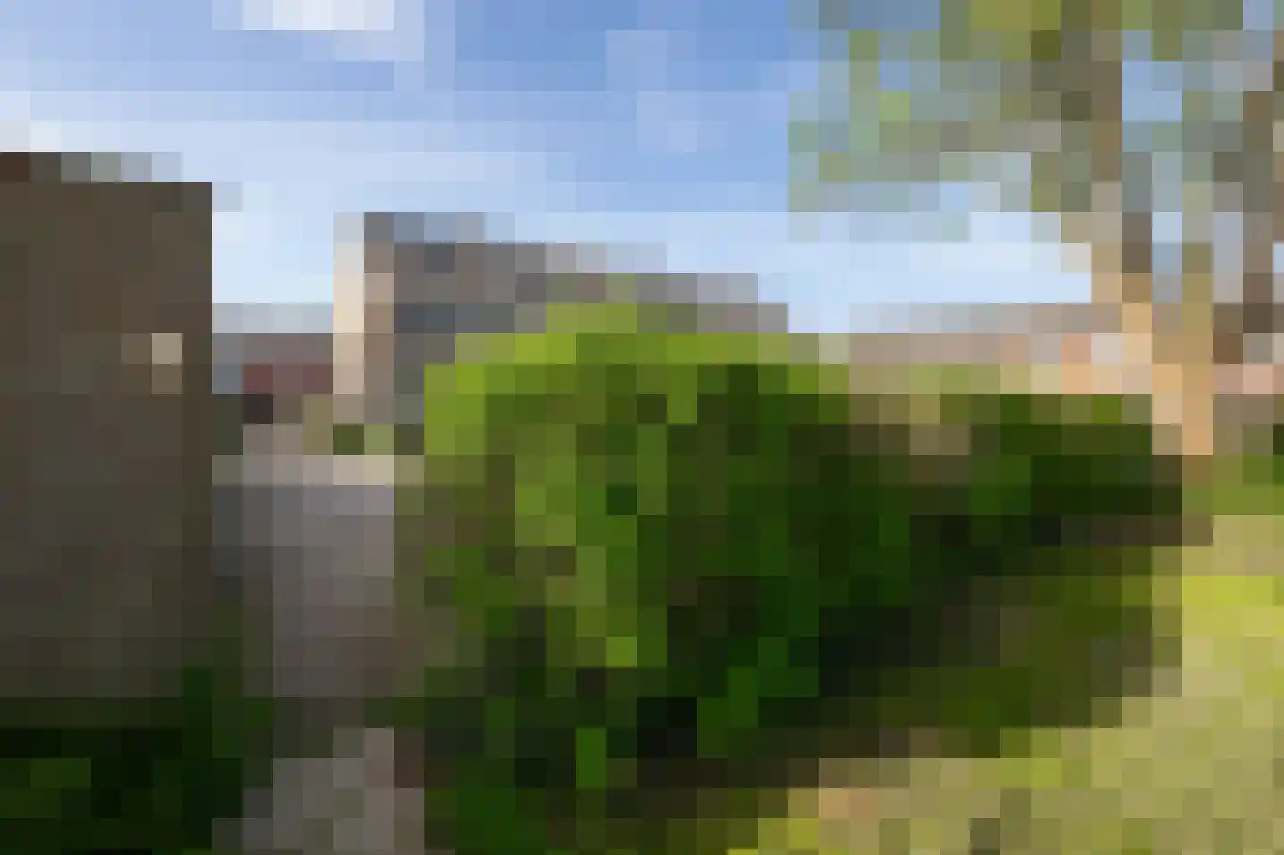 Kamperfoeliestraat 9 Landsmeer thumbnail 53