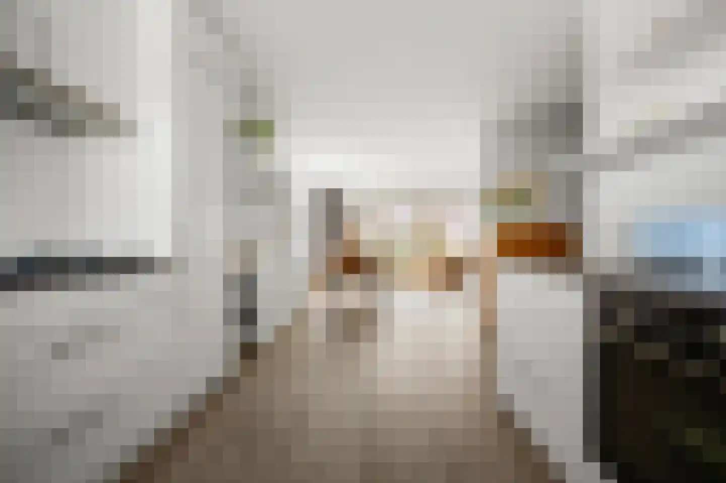 Kamperfoeliestraat 9 Landsmeer thumbnail 9