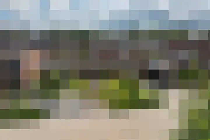 Kamperfoeliewal 26 Emmen