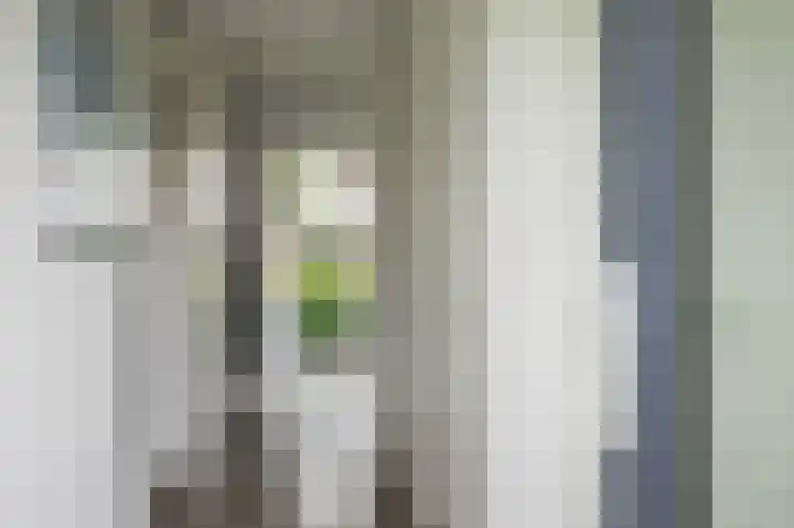 Kamperfoeliewal 26 Emmen thumbnail 10