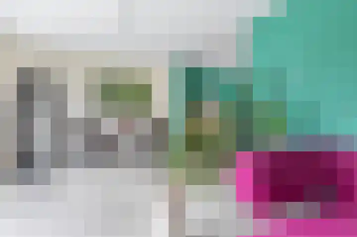 Kamperfoeliewal 26 Emmen thumbnail 13