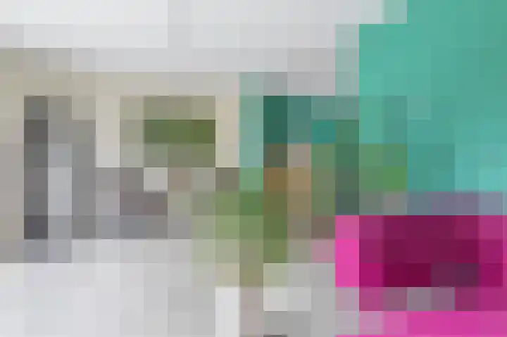 Kamperfoeliewal 26 Emmen thumbnail 14
