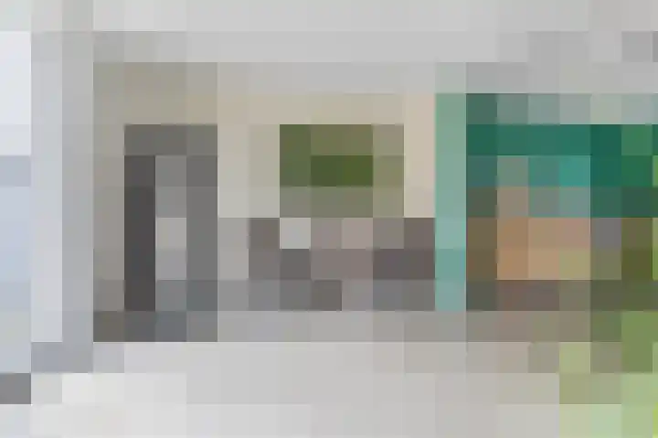 Kamperfoeliewal 26 Emmen thumbnail 15